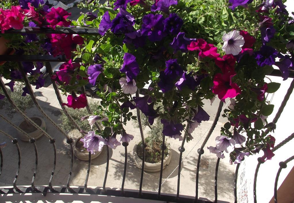 B&B Al Vecchio Borgo Барлетта Экстерьер фото